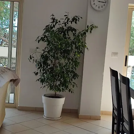 דירה Luli *